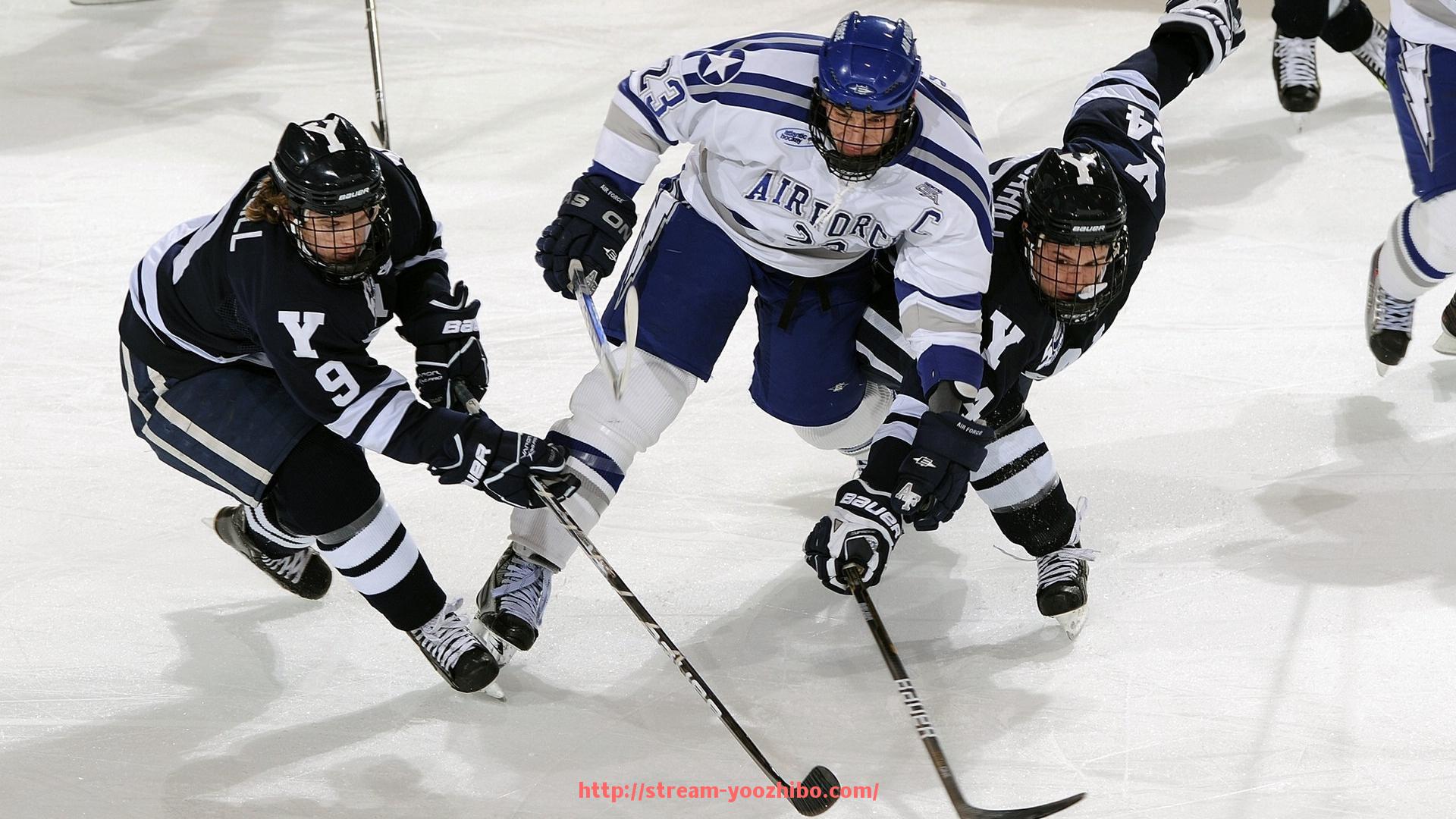 优直播-世俱杯赛场规则介绍及球迷需注意事项